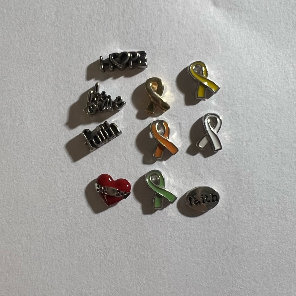 Assorted Ribbon charms